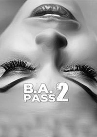 B.A. Pass 2 (2017) Hindi