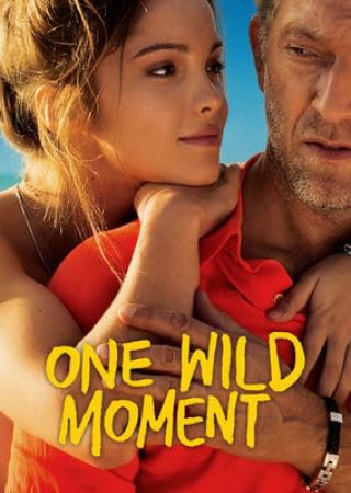One Wild Moment (2015) Hindi Dubbed Movie (18+)