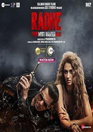 Radhe (2021) Hindi