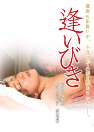 Tryst (Aibiki) 2014 Unrated Japanese 