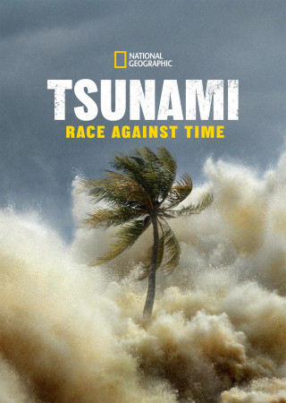 Tsunami Race Against Time S01 (2024) EP01-04 Hindi Dubbed Web Series