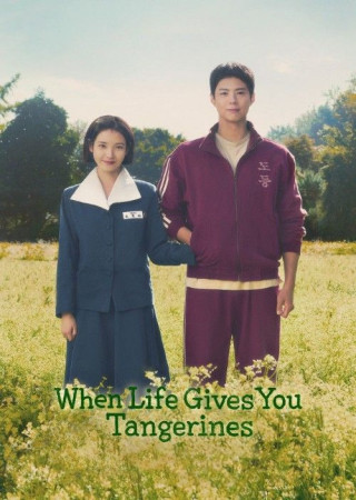 When Life Gives You Tangerines (2025) Season 1 Episode (05 TO 08) Hindi Dubbed Series 
